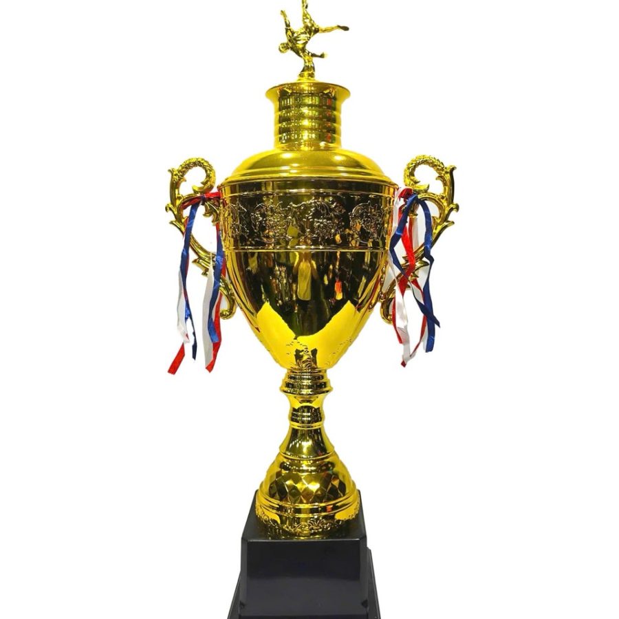 Cup bóng đá CR vàng FY 13A 79